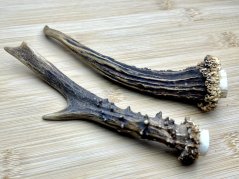 SRNČÍ PAROHY - Duo (15 cm)