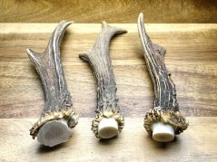 SRNČÍ PAROHY - Trio (15 cm)