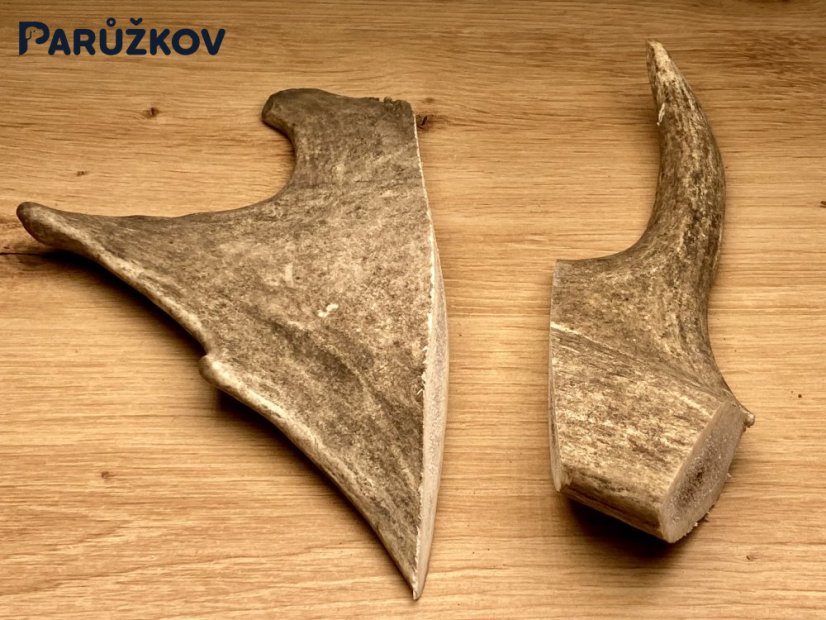 DANČÍ PAROHY - Duo (19 cm)