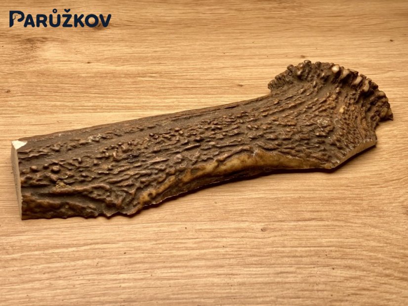 JELENÍ PAROHY - Půlený (18 cm)