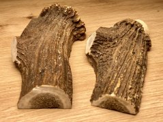JELENÍ PAROHY - Duo - půlené (15 cm)