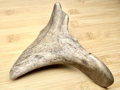 DANČÍ PAROHY (15 cm)
