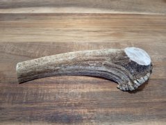 JELENÍ PARŮŽEK PRO PSY - 15 cm - PŮLENÝ