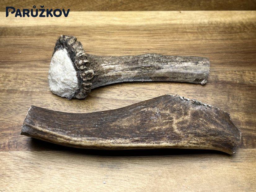 DANČÍ PAROHY - Duo (13 cm)